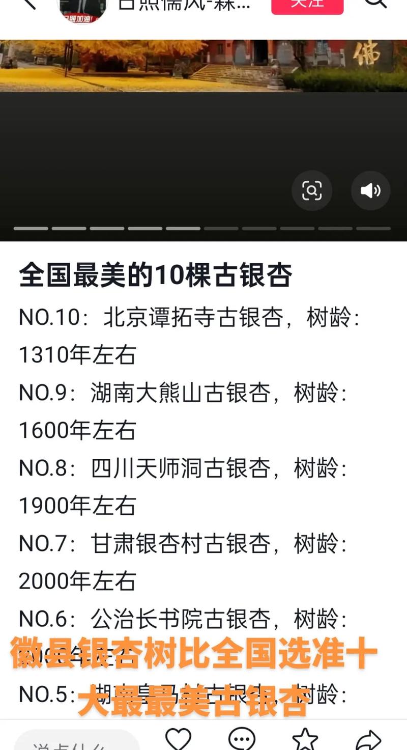 银杏树原产于哪个国家——从起源到行道树应用的完整指南 常见错误与注意事项