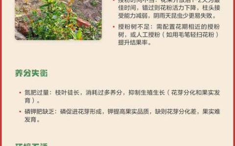 石榴树开花不结果怎么办？促花保果与授粉技术全解析