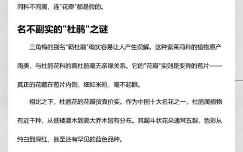 杜鹃花是三角梅吗？两者区别与养护全攻略