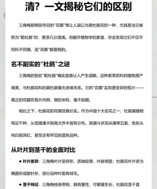 杜鹃花是三角梅吗？两者区别与养护全攻略