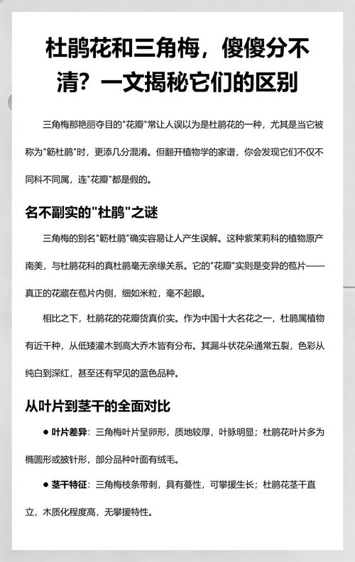 杜鹃花是三角梅吗?两者区别与养护全攻略 一、杜鹃花:喜阴怕晒的“酸性指示剂”