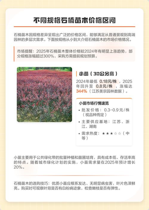 七、选购与咨询指南