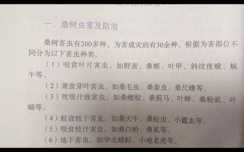 养知了种什么树？最全指南：适合蝉寄生的树木及种植要点
