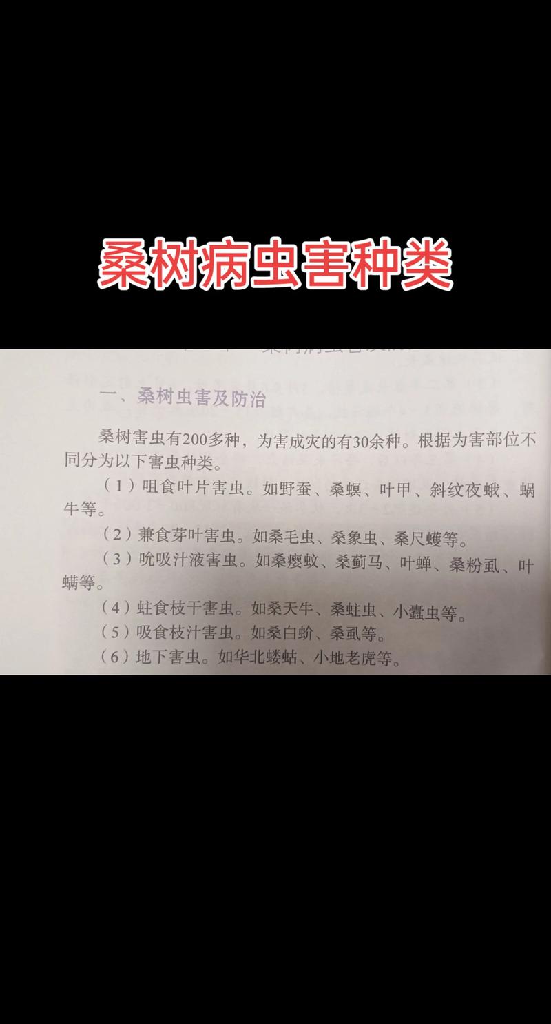 一、了解蝉的生活习性