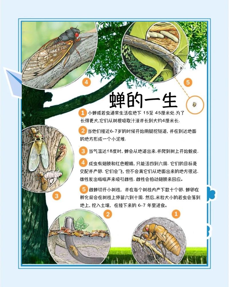 五、总结