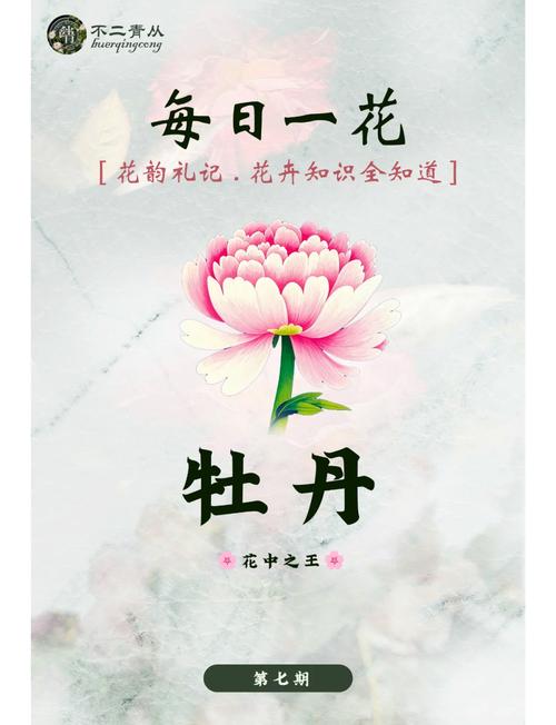 家门口能种牡丹吗?科学种植指南与传统文化解读 五、浇定根水