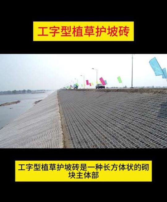 植草砖内植草面积如何计算？详解公式与实例