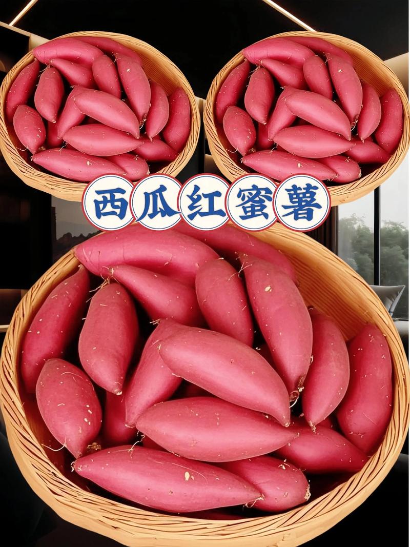 西瓜红红薯高产种植技术全指南 五、浇定根水