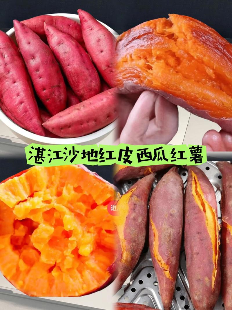 西瓜红红薯高产种植技术全指南 七、成活注意事项