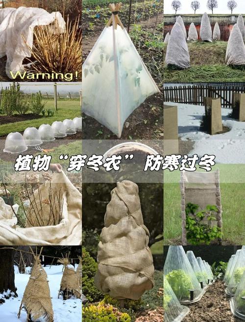 除草剂冻了还能用吗?园艺达人的实用指南 总结