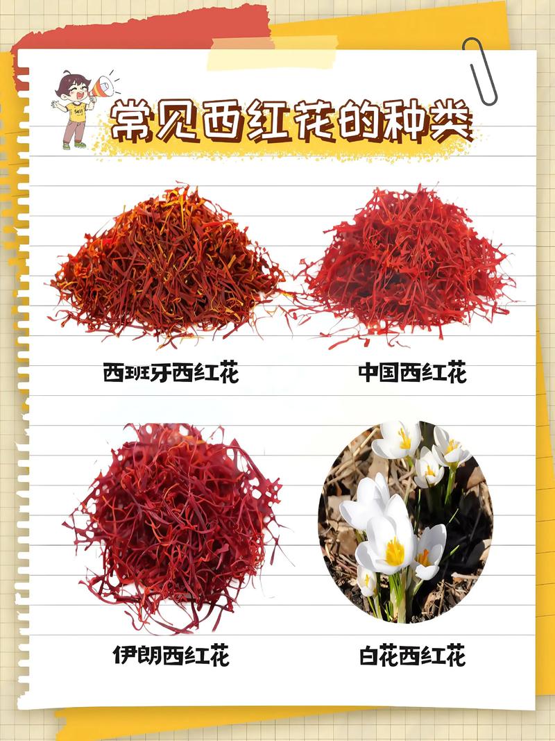 三、综合搭配建议