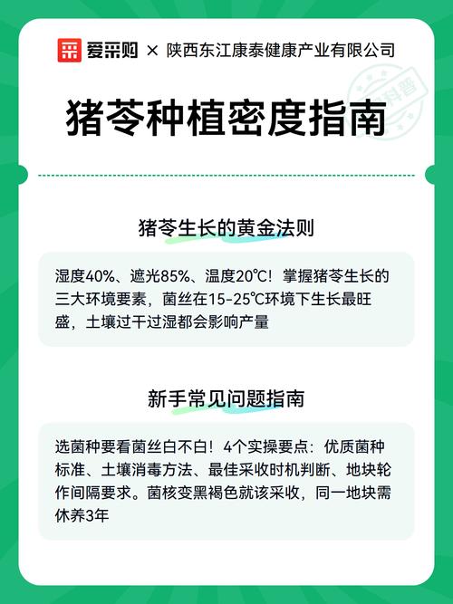 猪苓栽植密度指南:一亩大概需要多少菌种与种栽规格详解 影响一亩用种量的关键因素