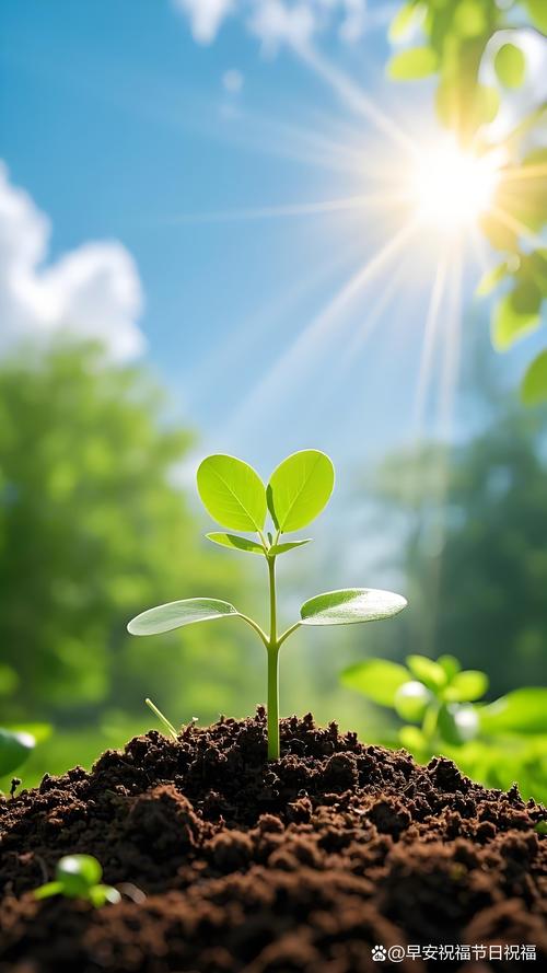 植树节是中国的吗?从起源到园艺实践,带你了解这个绿色节日 植树节是中国的吗?帮你厘清源头