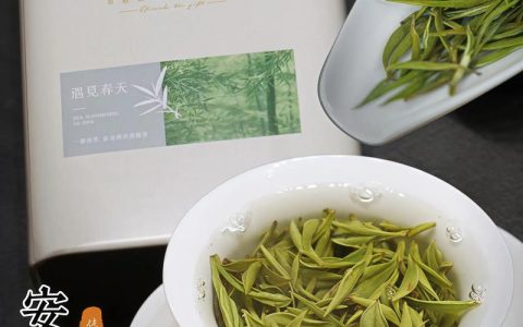 白茶好还是绿茶好？2026年最新对比与选择指南