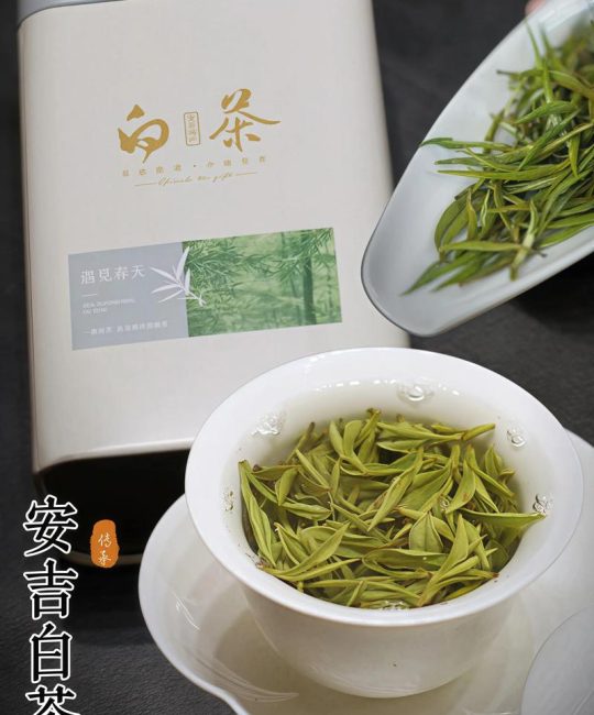 白茶好还是绿茶好？2026年最新对比与选择指南