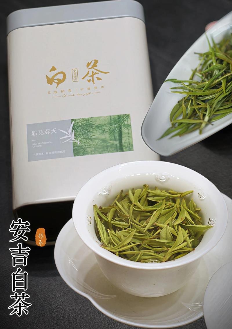白茶好还是绿茶好?2026年最新对比与选择指南 白茶好还是绿茶好?2026年最新对比与选择指南