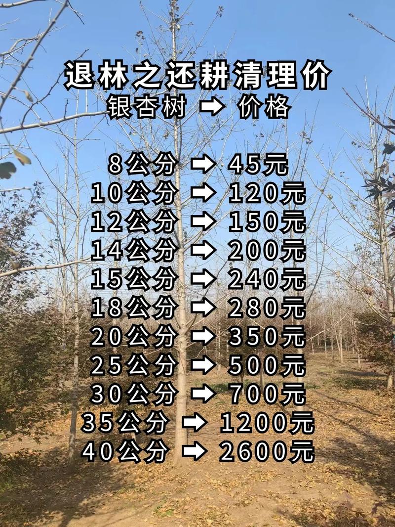 银杏树80公分价格 运输:距离与物流方式决定10%-30%的附加成本