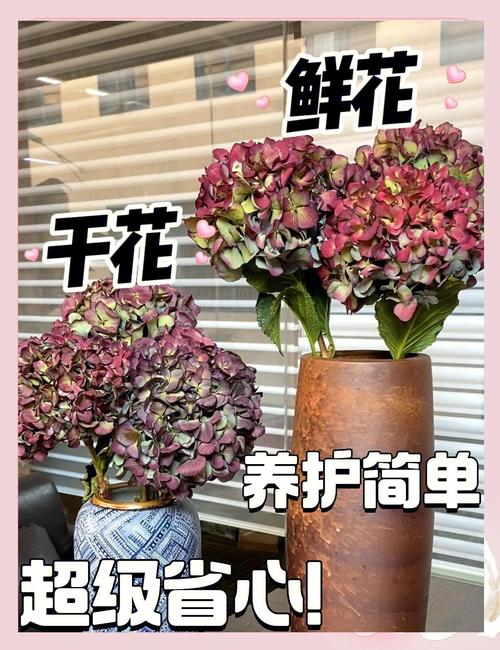 绣球花干花制作全攻略 – 花期采收、晾晒技巧与品种选择 干花保存与复色技巧
