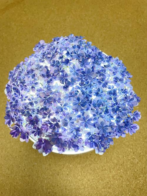 绣球花干花制作全攻略 – 花期采收、晾晒技巧与品种选择 总结