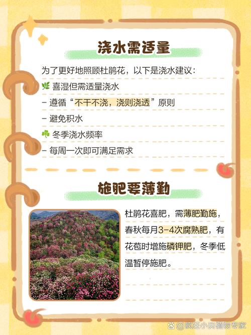 换盆与田间管理：冬季不宜换盆，等待春季更稳妥