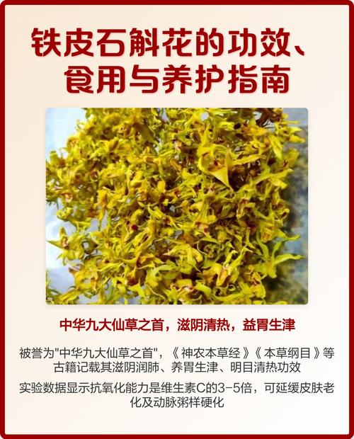 结语