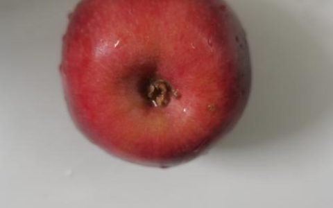 红肉苹果是什么品种？红肉苹果品种介绍与选购指南