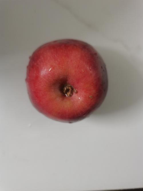 红肉苹果是什么品种?红肉苹果品种介绍与选购指南 红肉苹果是什么品种?红肉苹果品种介绍与选购指南