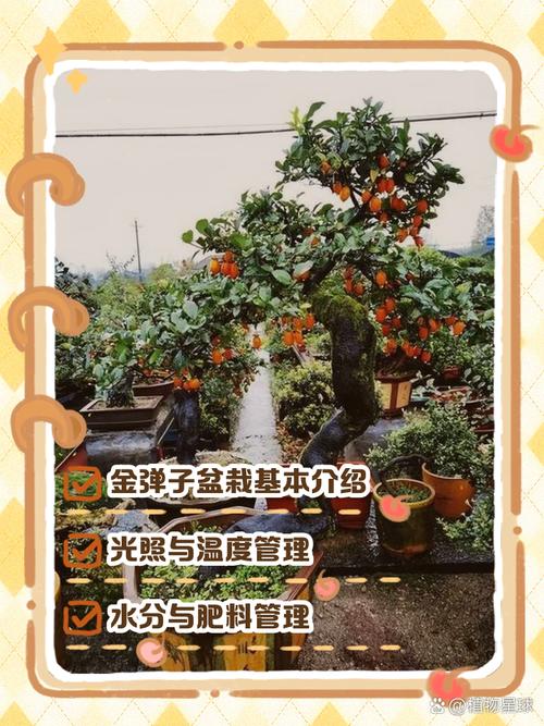 金蝉养殖适合什么树?选对树种,增产增收的园艺指南 四、常见问题解答