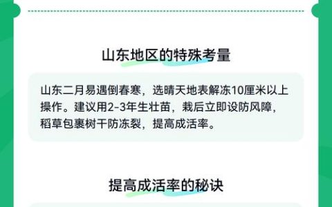 枇杷树移栽全攻略：从选时到成活的7步操作指南