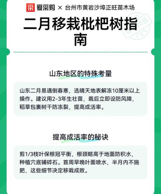枇杷树移栽全攻略：从选时到成活的7步操作指南