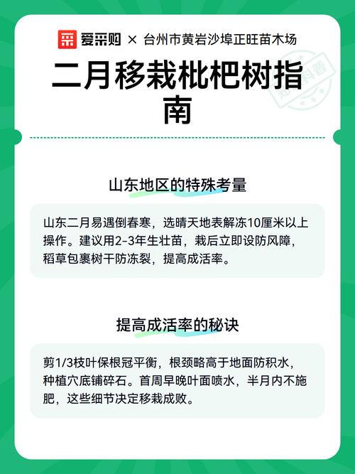 枇杷树移栽全攻略:从选时到成活的7步操作指南 枇杷树移栽全攻略:从选时到成活的7步操作指南