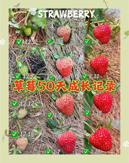 四、常见误区与解答