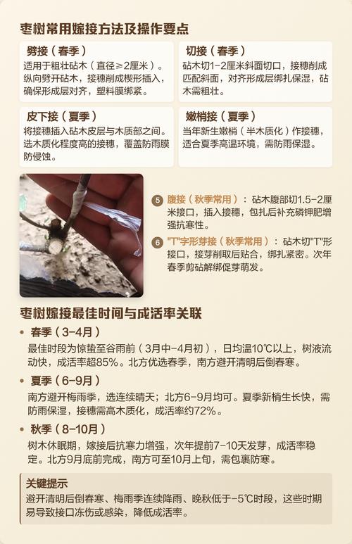 正确嫁接组合：同科同属或近缘属为基本原则