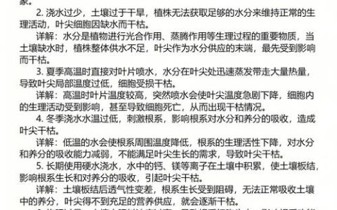 桂花叶尖发黄干枯怎么办？5个原因及解决方法