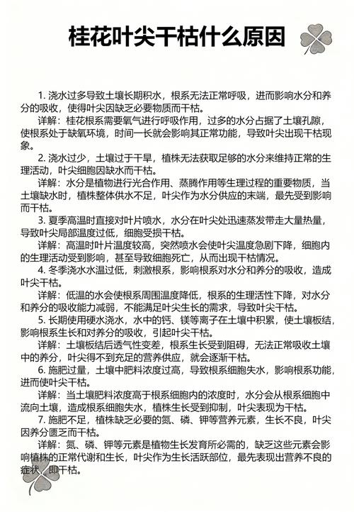 桂花叶尖发黄干枯怎么办?5个原因及解决方法 桂花叶尖发黄干枯怎么办?5个原因及解决方法