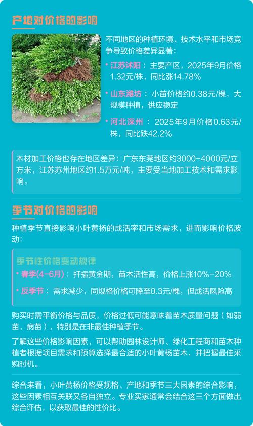 黄杨小苗大概多少钱?2026年最新市场参考价与影响因素解析 季节变化影响价格波动