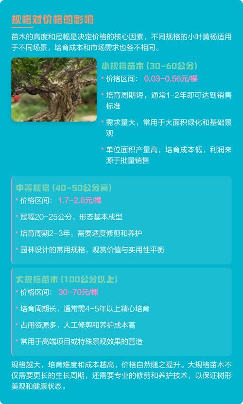 黄杨小苗大概多少钱?2026年最新市场参考价与影响因素解析 主要规格价格一览表