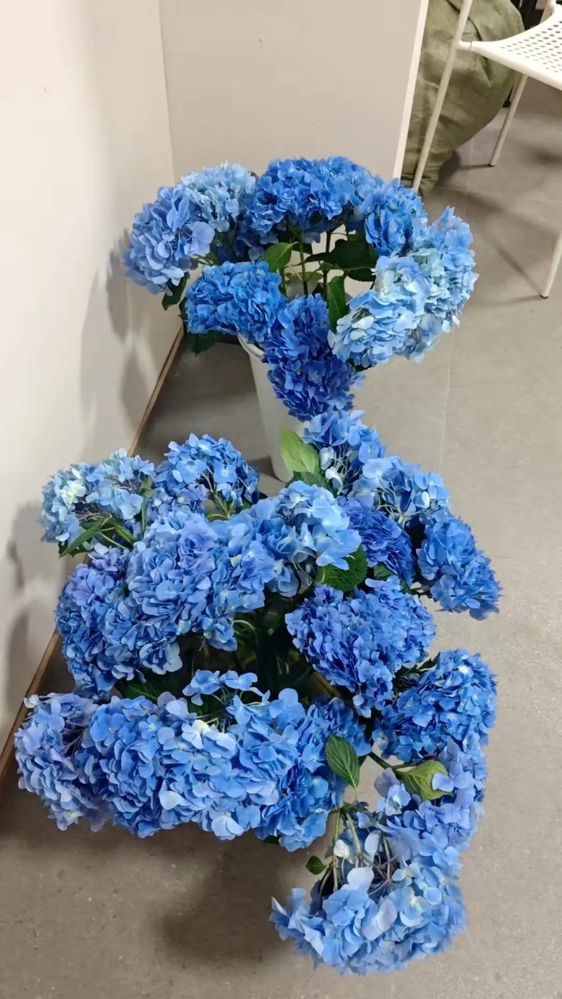 蓝色绣球花代表什么意思?送花寓意、花语与养护要点一次说清 FAQ