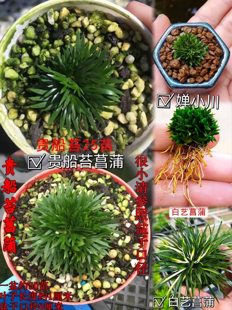 6维度对比分析