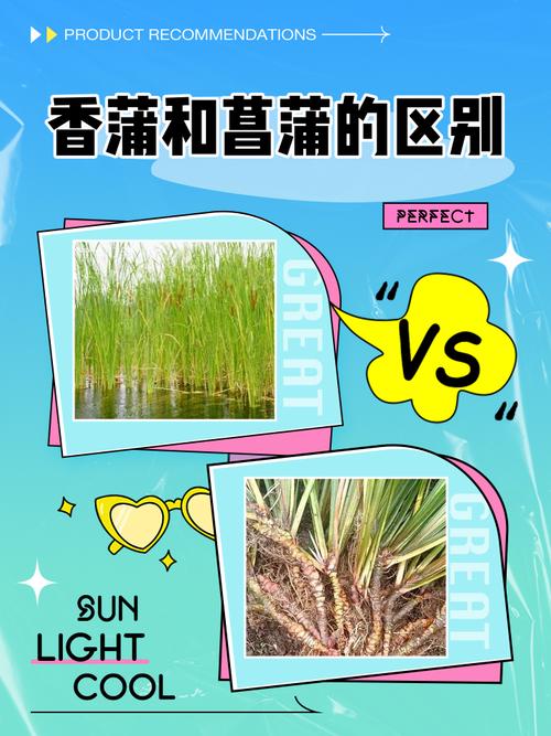 总结