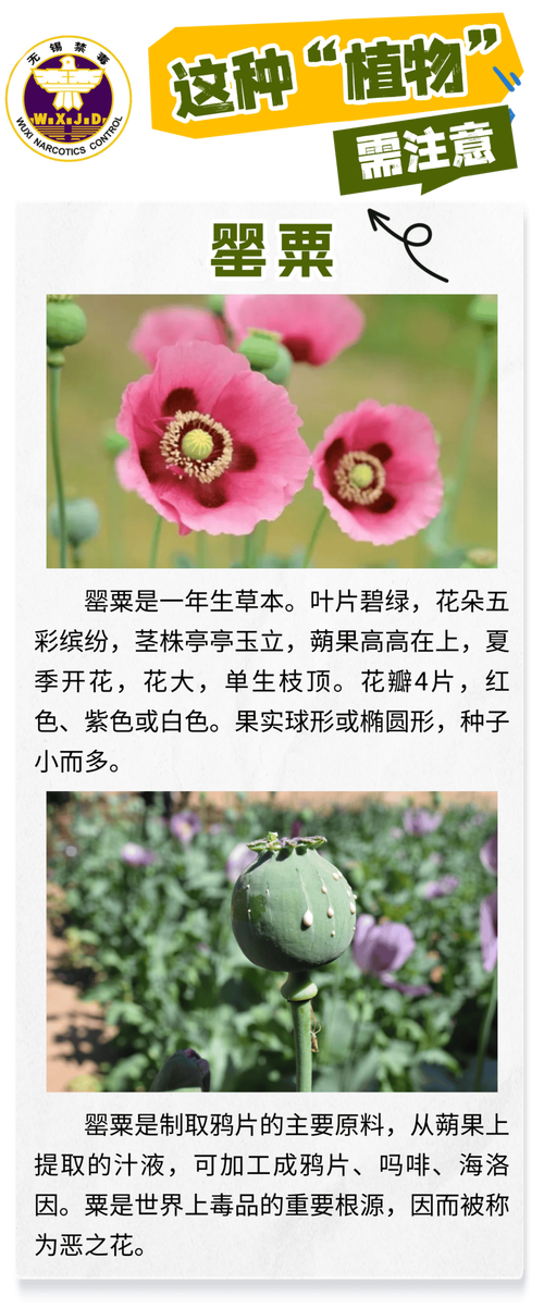 结语