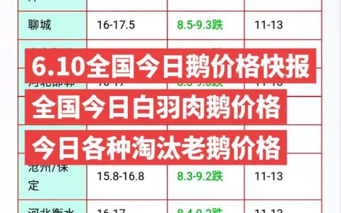 肉鹅鹅苗多少钱一只？2025年价格快速参考