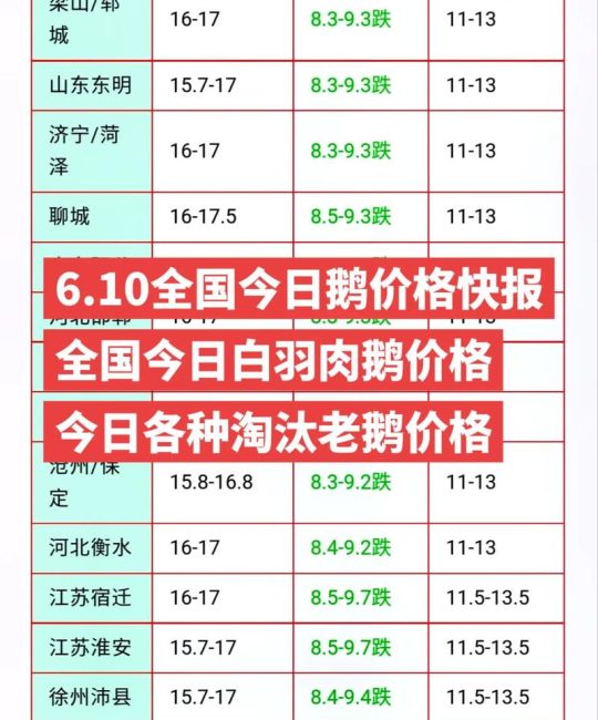 肉鹅鹅苗多少钱一只？2025年价格快速参考