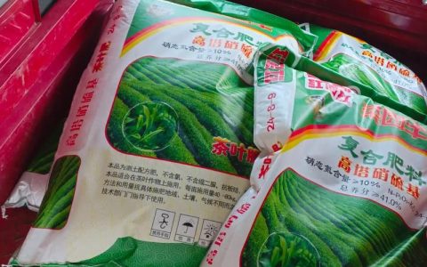 茶叶可以种菜当肥料吗？家庭菜园高效利用指南