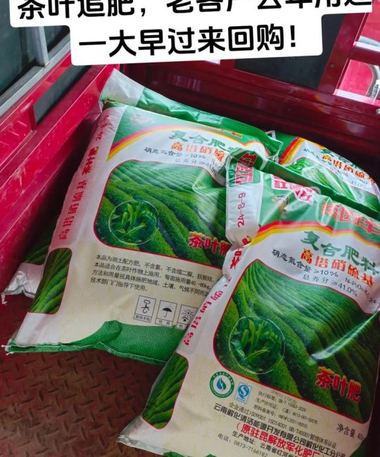 茶叶可以种菜当肥料吗？家庭菜园高效利用指南