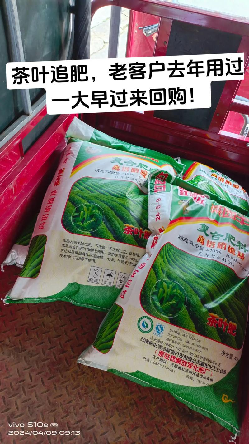 茶叶可以种菜当肥料吗？家庭菜园高效利用指南