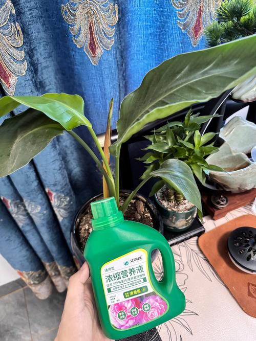 四步操作流程：从配液到更换完整手册