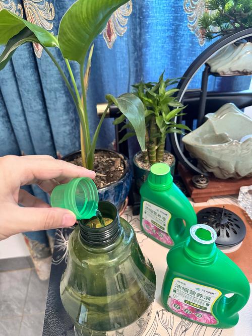 三个核心判断标准：你的水培植物需要什么肥？