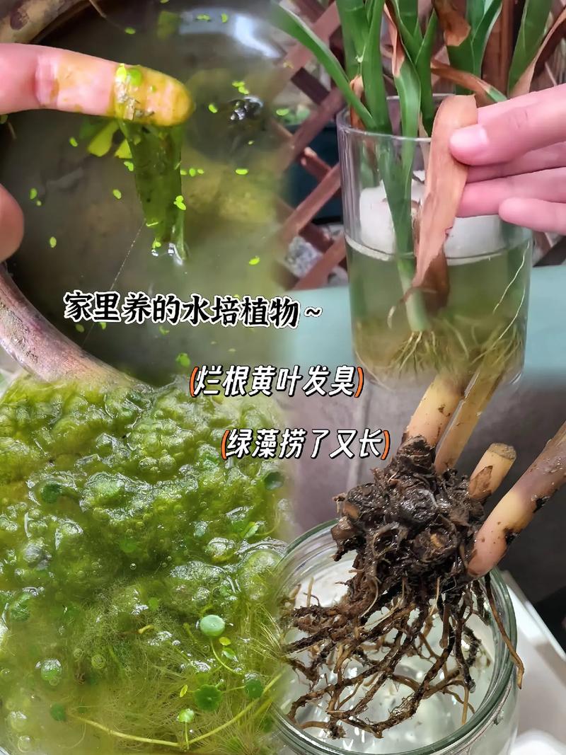 总结