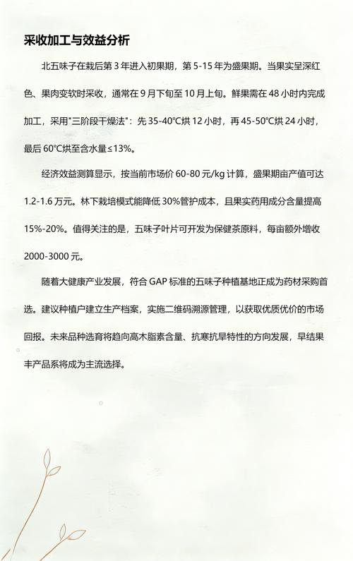 五味子种植全攻略:从选时到成活的七个关键步骤 六、缓苗管理